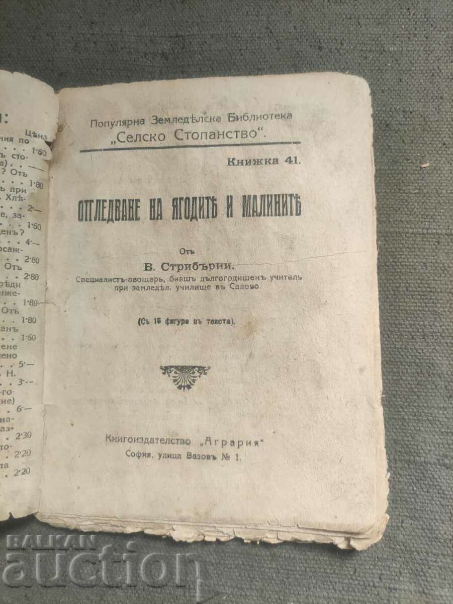 Cultivation of strawberries and raspberries V. Striburni with price 30.00 BGN | € 15.34 Cultivation of strawberries and raspberries V. Striburni with price 30.00 BGN | € 15.34