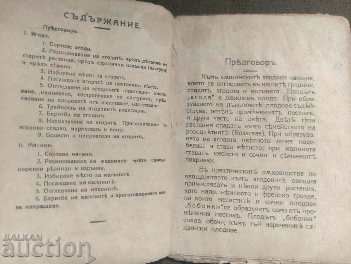 Delivery of Cultivation of strawberries and raspberries V. Striburni Delivery of Cultivation of strawberries and raspberries V. Striburni