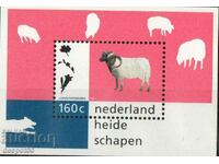 1997. Olanda. Animale de companie. Mini-bloc.