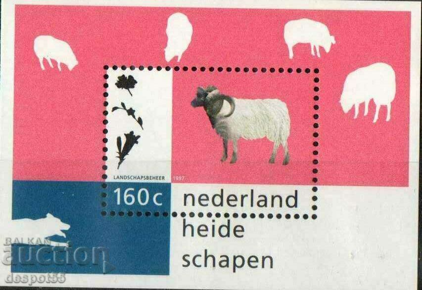1997. Olanda. Animale de companie. Mini-bloc.