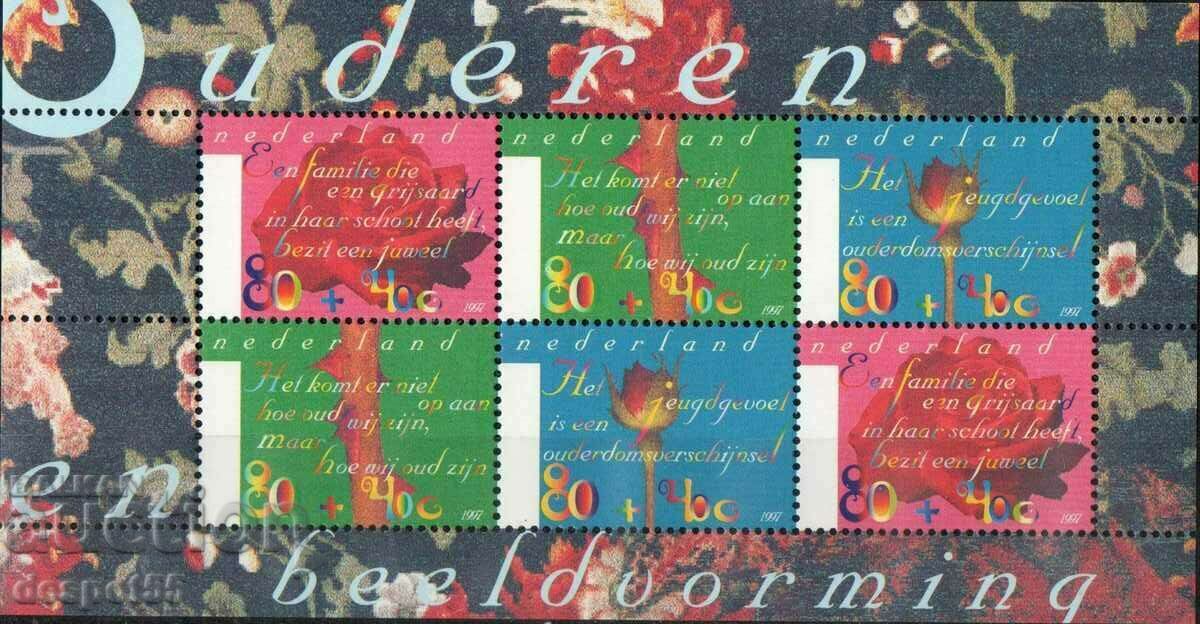 1997. Ολλανδία. Φιλανθρωπικά γραμματόσημα. ΟΙΚΟΔΟΜΙΚΟ ΤΕΤΡΑΓΩΝΟ.