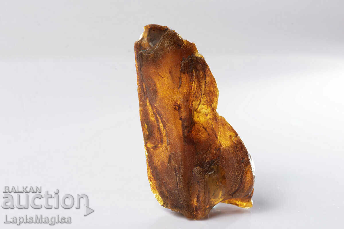 Baltic amber 24.7g #2 with price 60.00 BGN | € 30.68 Baltic amber 24.7g #2 with price 60.00 BGN | € 30.68