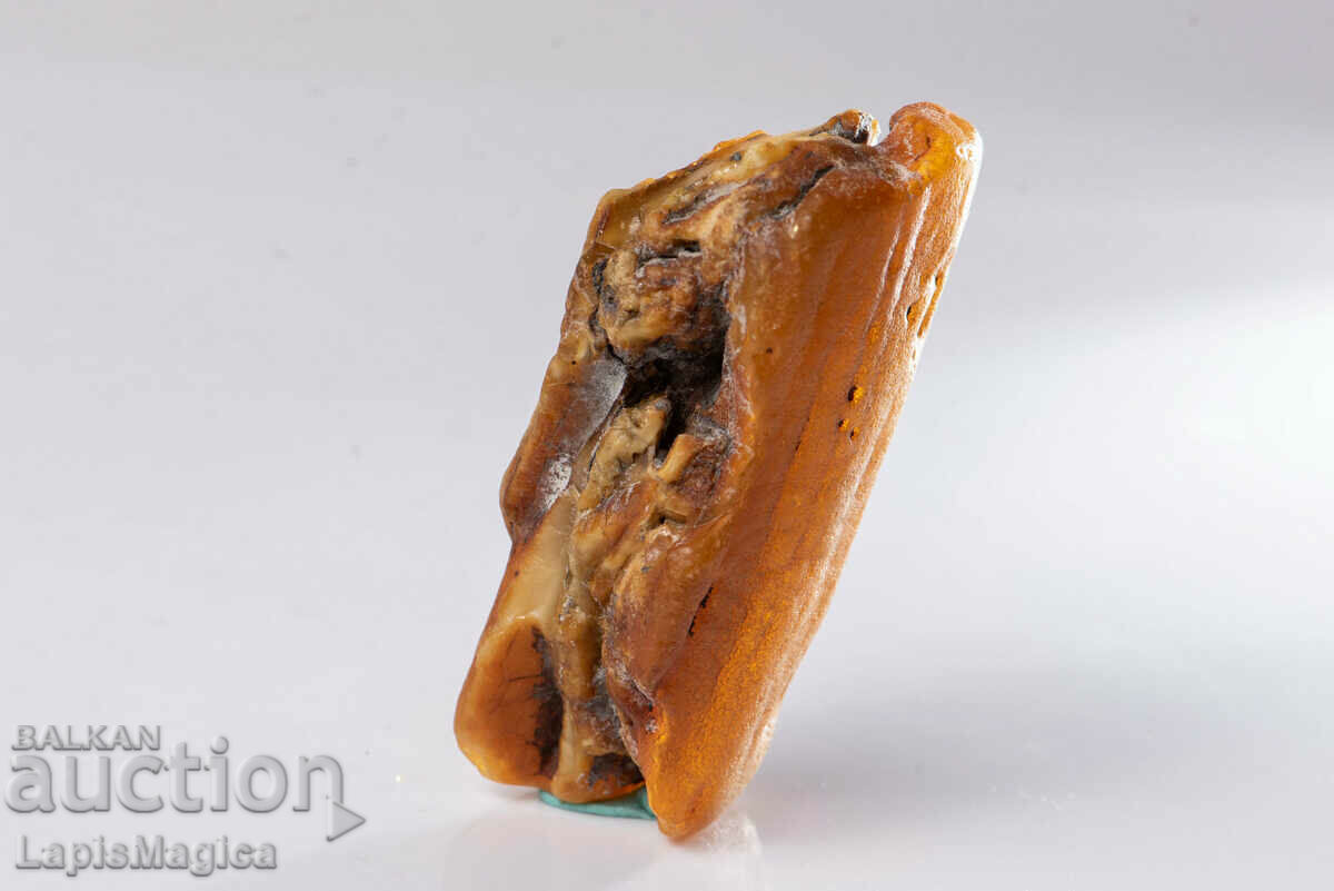 Балтийски кехлибар 23.4g №6