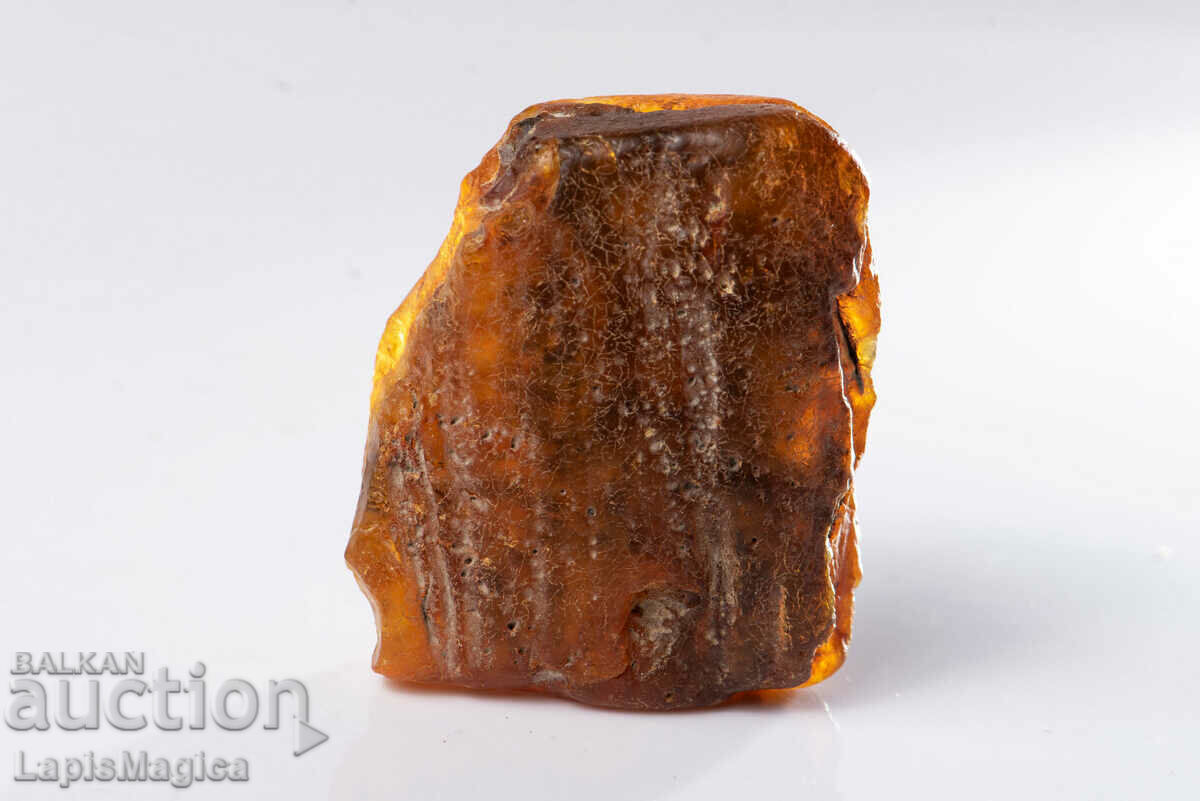 Baltic amber 25.9g #7 with price 55.00 BGN | € 28.12 Baltic amber 25.9g #7 with price 55.00 BGN | € 28.12