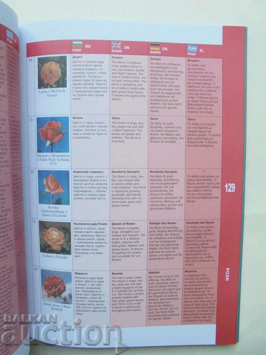 Delivery of A short glossary of terms - Veselin Brezin and others. Delivery of A short glossary of terms - Veselin Brezin and others.