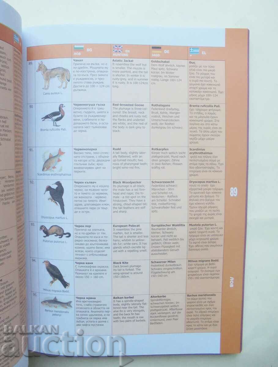 A short glossary of terms - Veselin Brezin and others. - 5 A short glossary of terms - Veselin Brezin and others. - 5