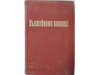 Muntele Magic, Thomas Mann (14,6)