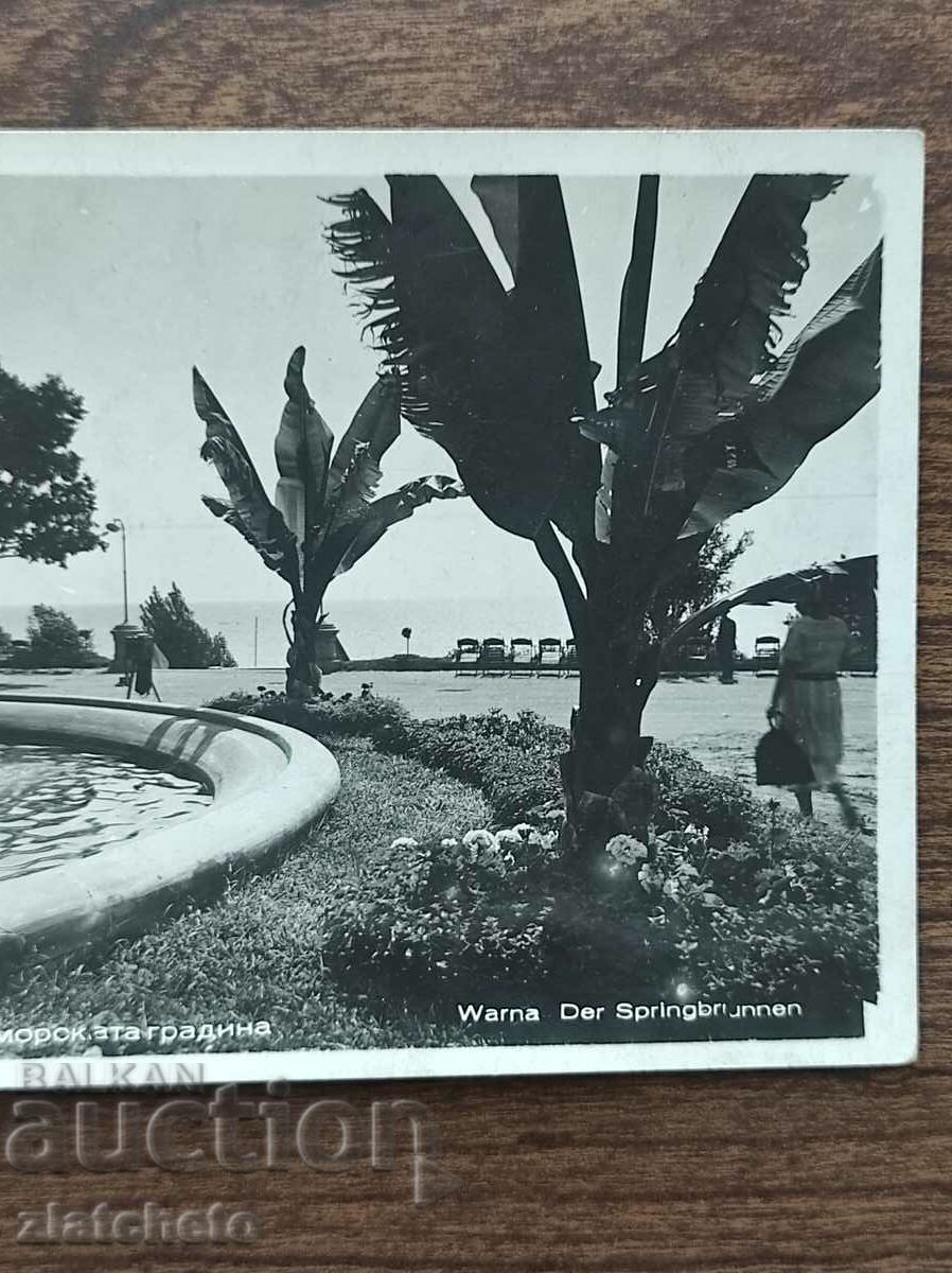 Postcard Kingdom of Bulgaria - Varna with price 15.00 BGN | € 7.67