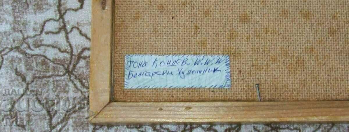 Imaginea 2 - Tony Kondev - 5