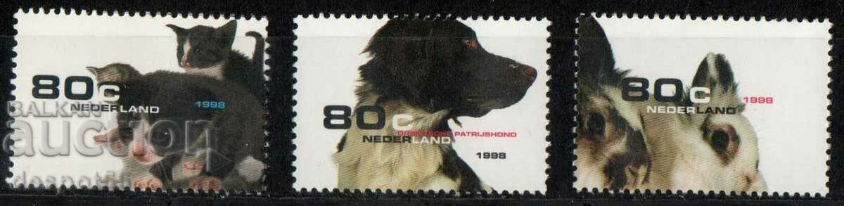 1998. The Netherlands. Pets.
