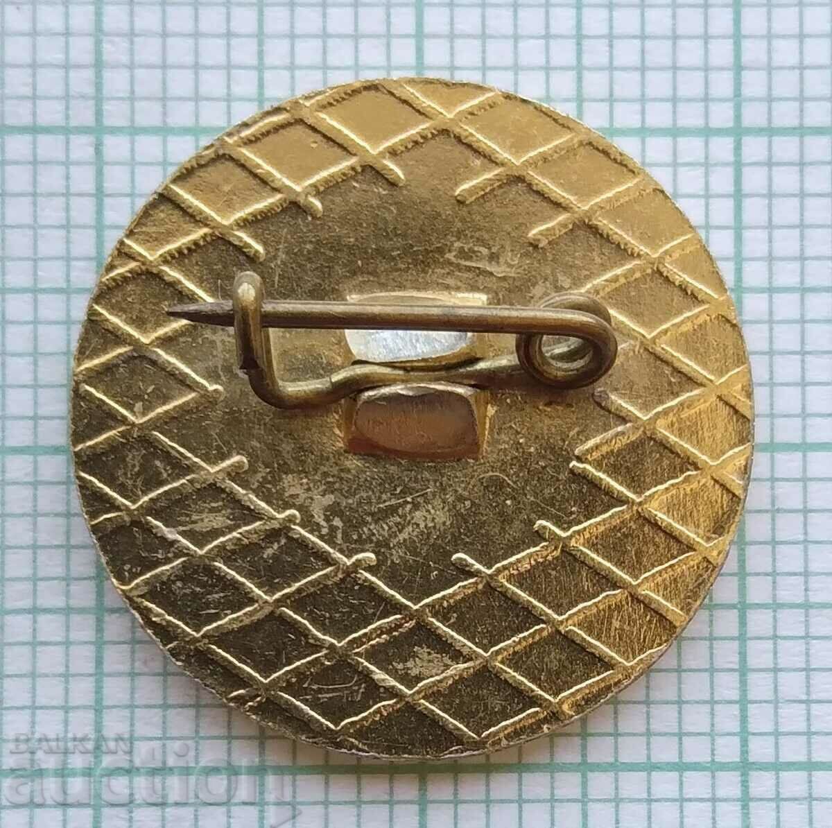 Auction 16627 Badge - Maritsa East Auction 16627 Badge - Maritsa East