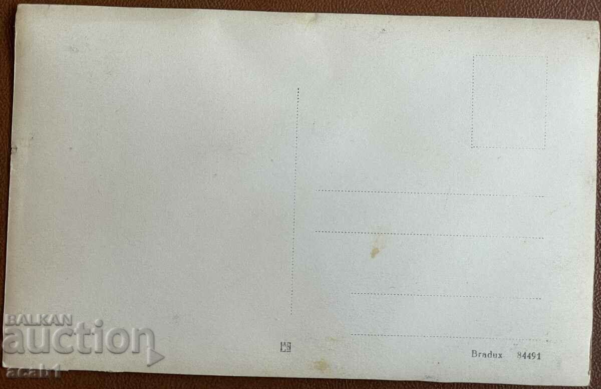 Radomir costumes with price 11.99 BGN | € 6.13 Radomir costumes with price 11.99 BGN | € 6.13