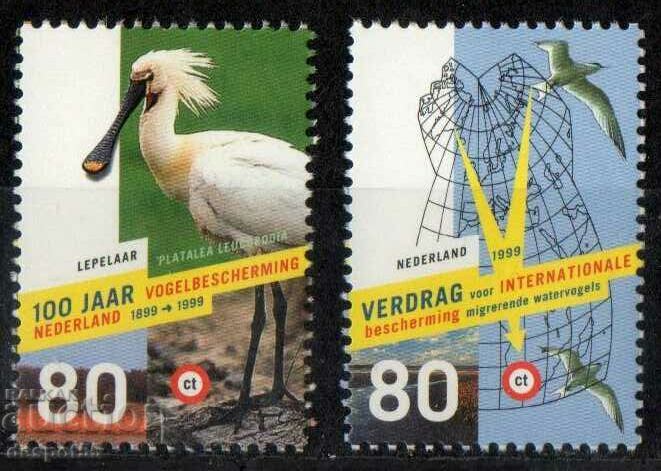 1999. Нидерландия. Птици - Опазване на природата.