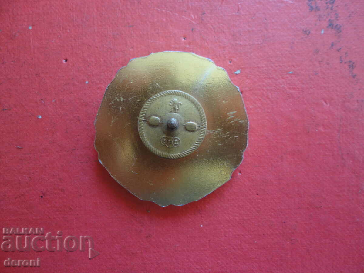 Delivery of Military Badge Badge on Screw Bronze Enamel First Class Delivery of Military Badge Badge on Screw Bronze Enamel First Class