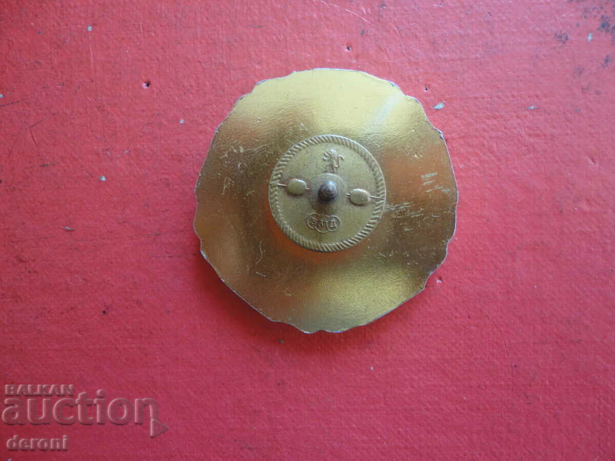 Military Badge Badge on Screw Bronze Enamel First Class - 5 Military Badge Badge on Screw Bronze Enamel First Class - 5