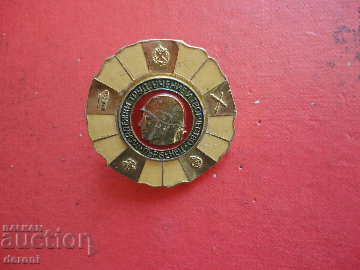 Military Badge Badge on Screw Bronze Enamel First Class - 6 Military Badge Badge on Screw Bronze Enamel First Class - 6