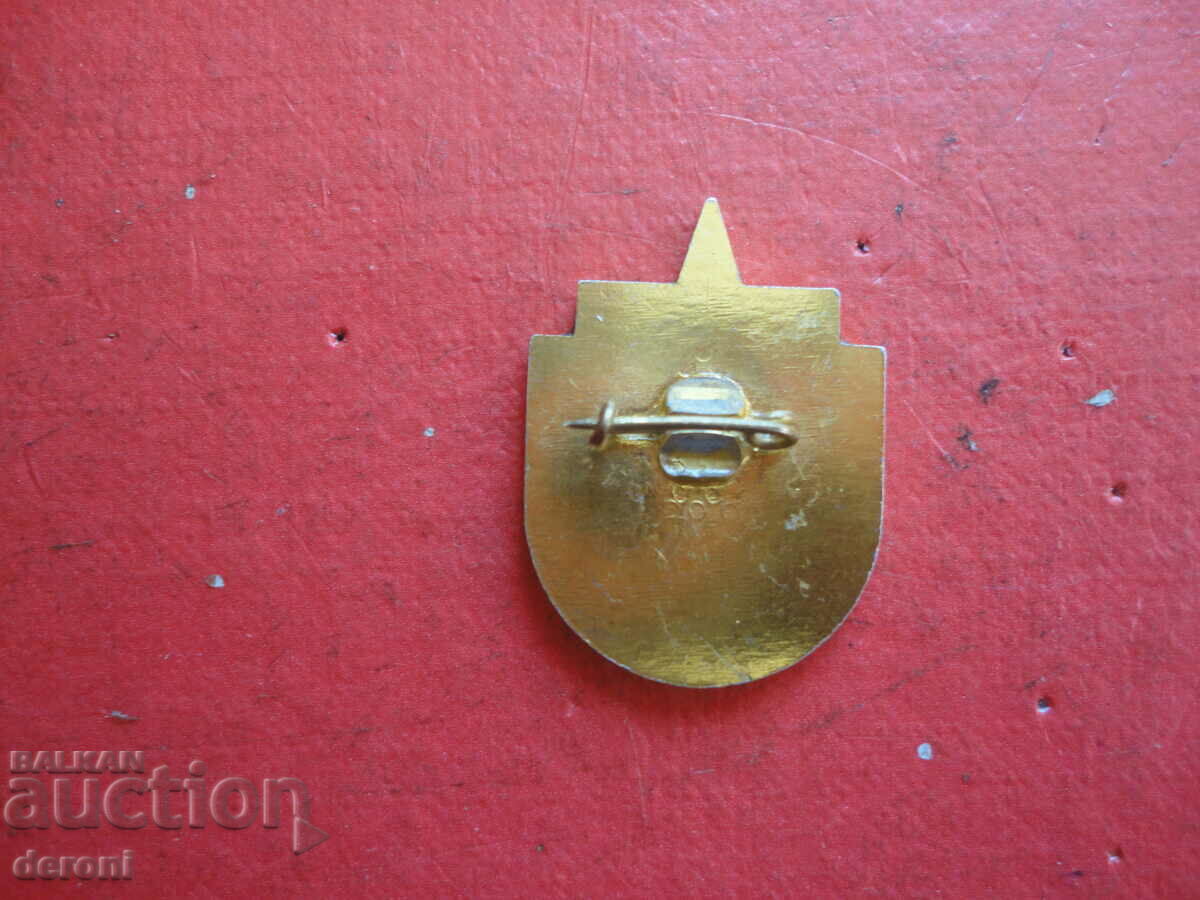 Delivery of Military Badge badge on screw bronze enamel Excellence in Enlistment Delivery of Military Badge badge on screw bronze enamel Excellence in Enlistment