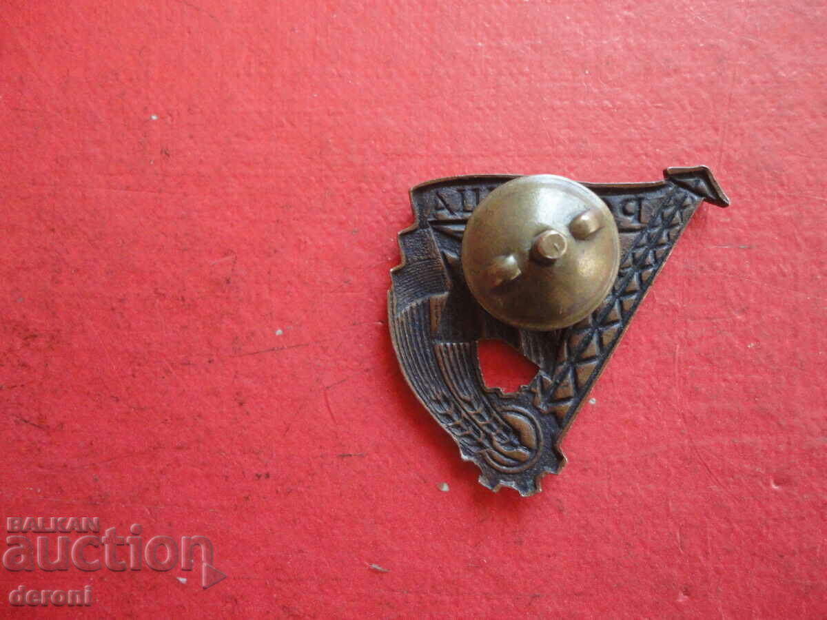 Auction Antique Bronze Screw Badge Badge Auction Antique Bronze Screw Badge Badge