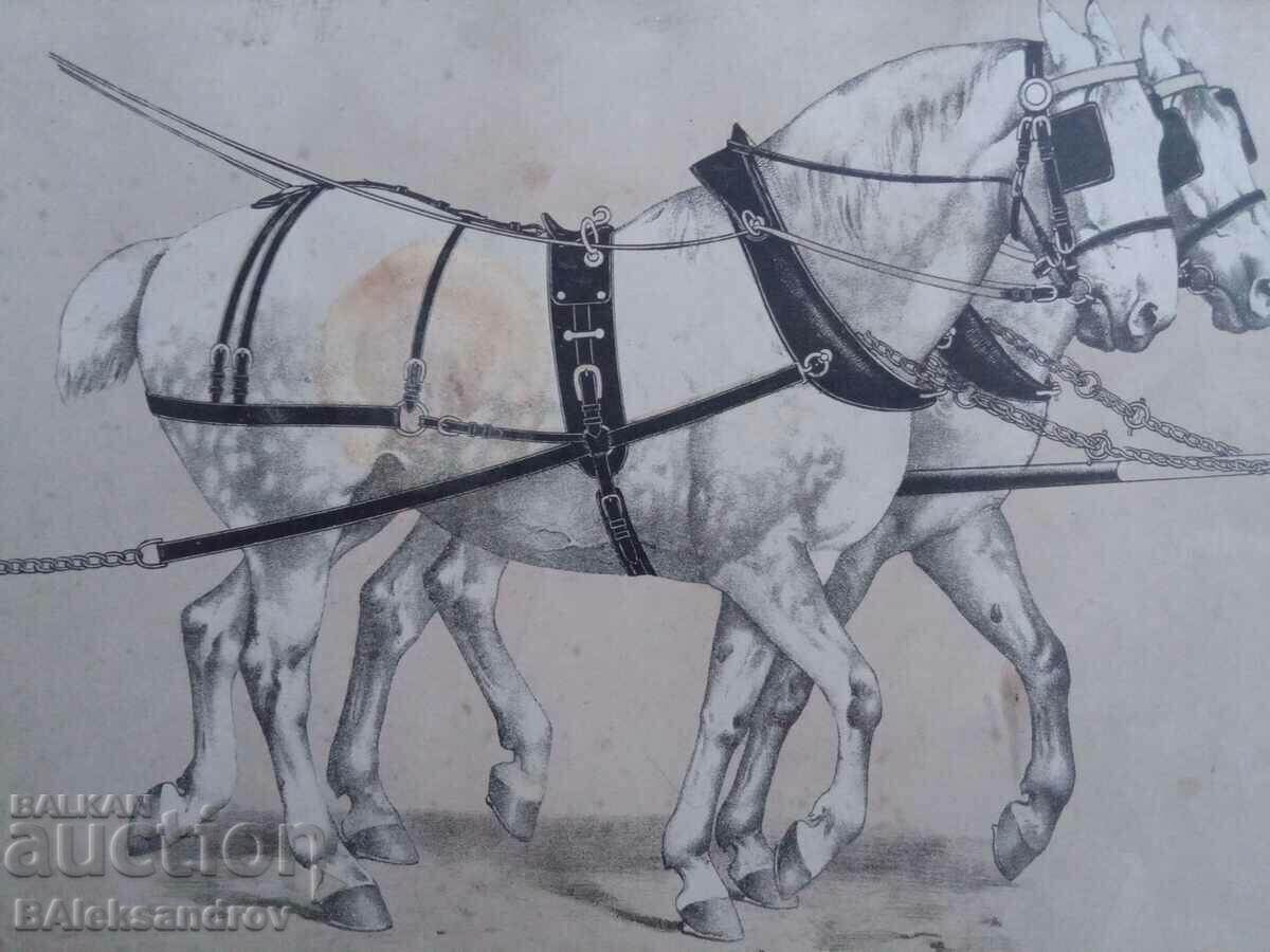 Old lithograph horses with price 16.00 BGN | € 8.18 Old lithograph horses with price 16.00 BGN | € 8.18