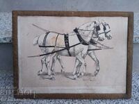 Old lithograph horses