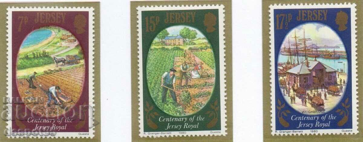 1980. Джърси. Селско стопанство - Кралски картоф на Джърси.