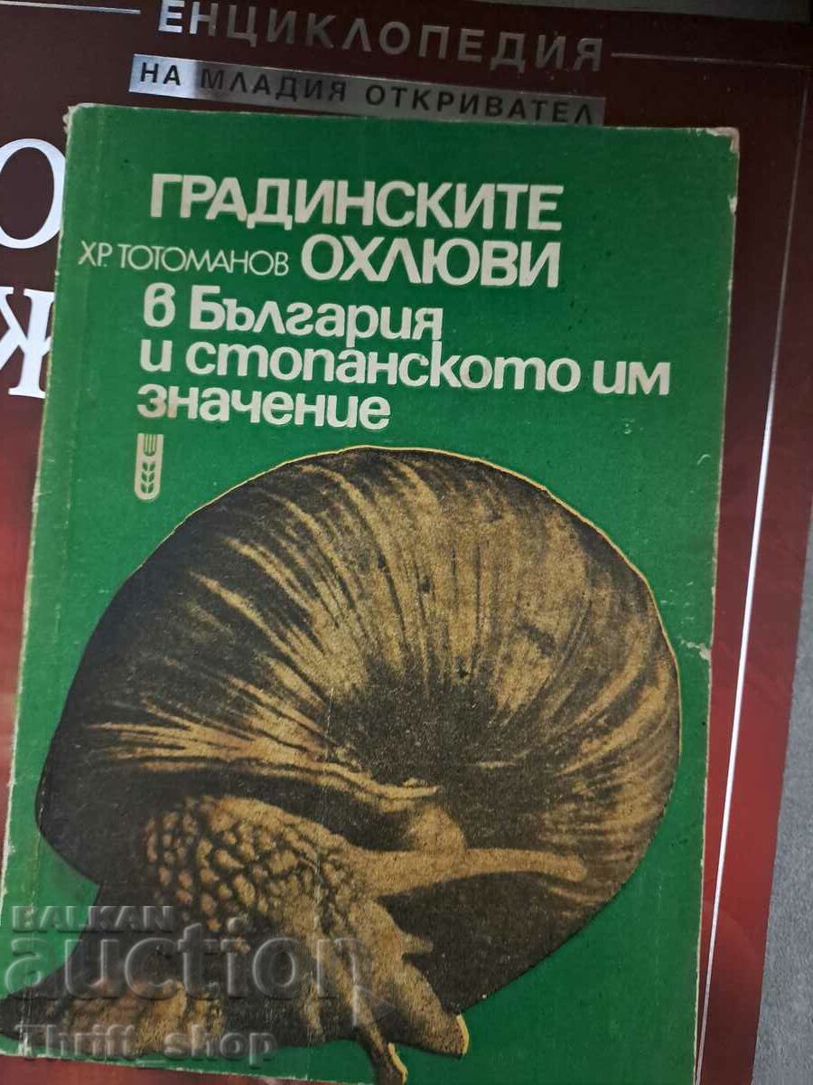 Garden snails in Bulgaria and their economic importance