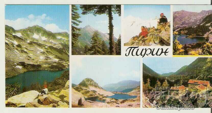 Bulgaria Pirin Card 1*