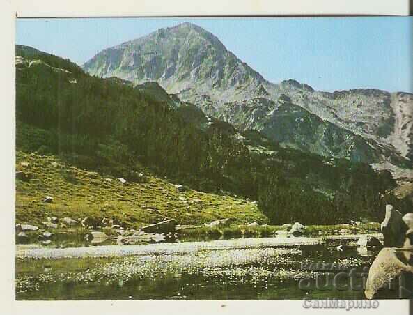 Κάρτα Bulgaria Pirin Muratov Peak 4*