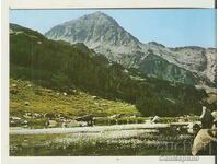 Κάρτα Bulgaria Pirin Muratov Peak 4*