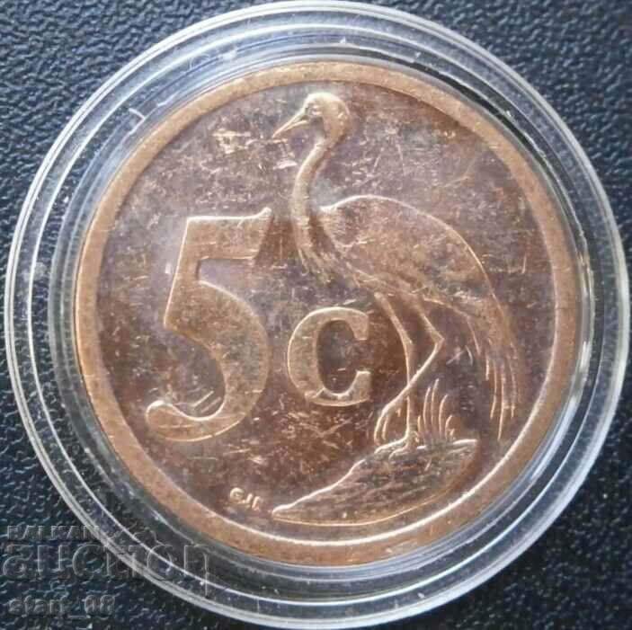 South Africa 5 cents 2010