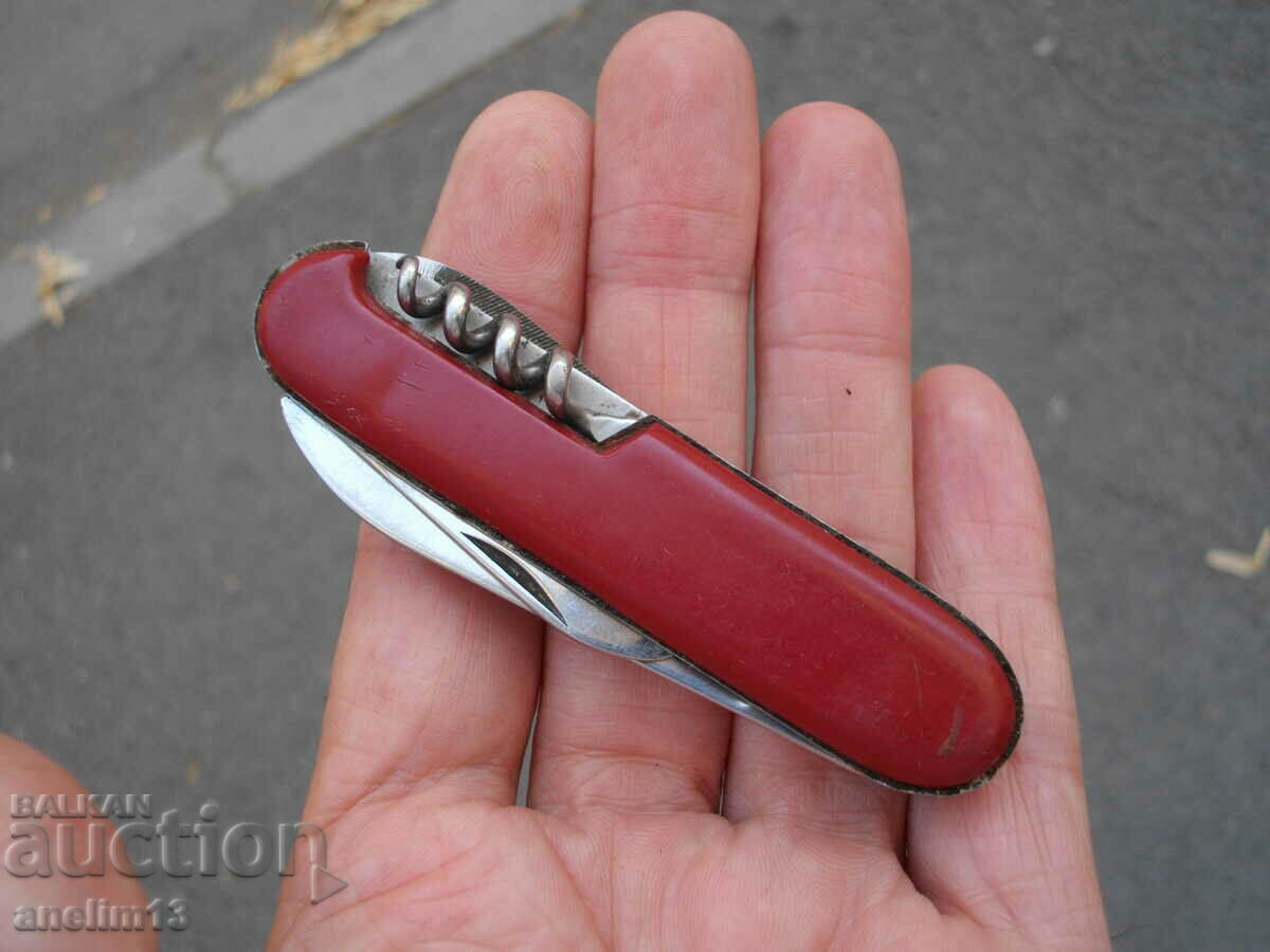 Licitație CUIT DE BUZUUNAR DE COLECȚIE POLONIA