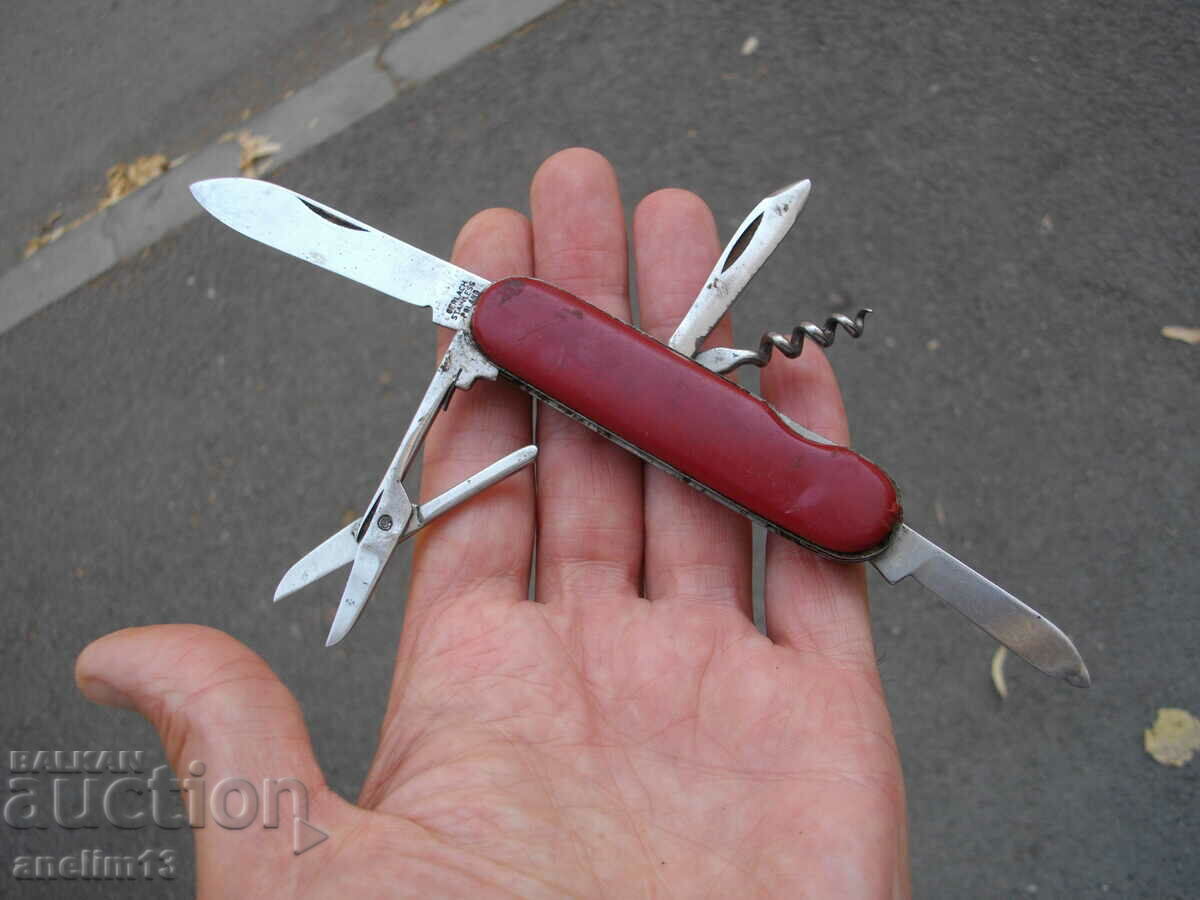 Livrarea CUIT DE BUZUUNAR DE COLECȚIE POLONIA