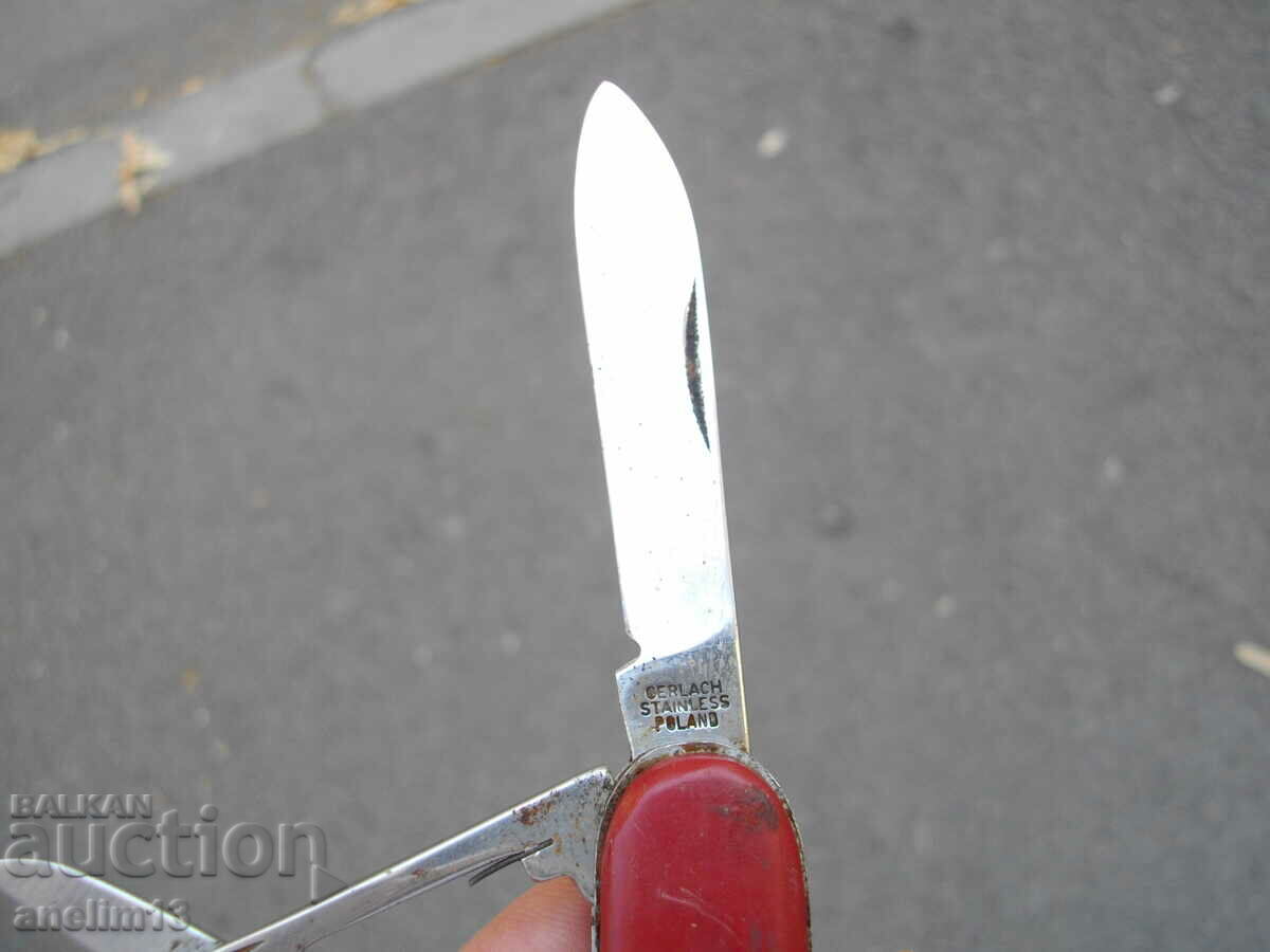 CUIT DE BUZUUNAR DE COLECȚIE POLONIA - 5