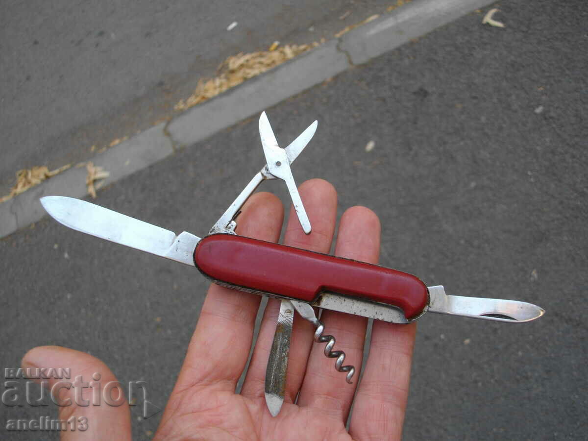 CUIT DE BUZUUNAR DE COLECȚIE POLONIA - 6