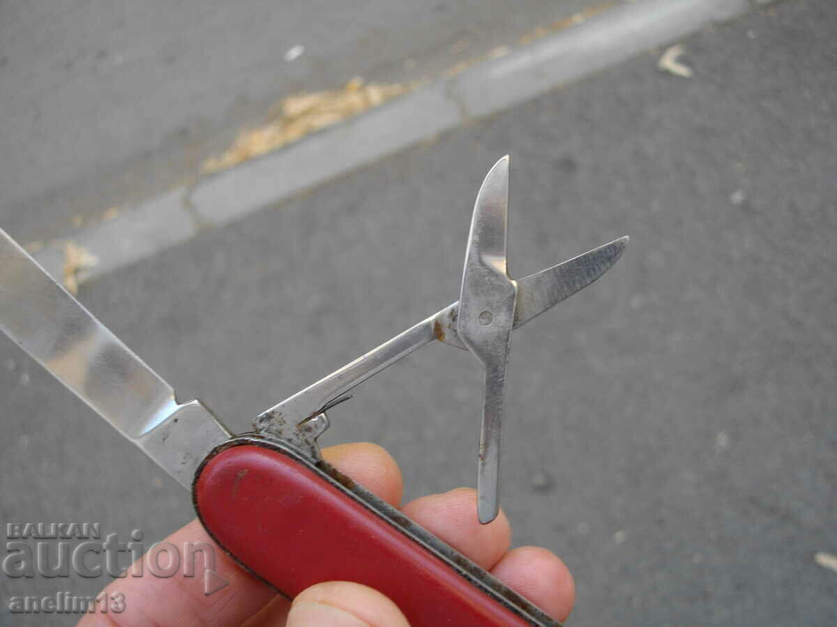 CUIT DE BUZUUNAR DE COLECȚIE POLONIA - 7