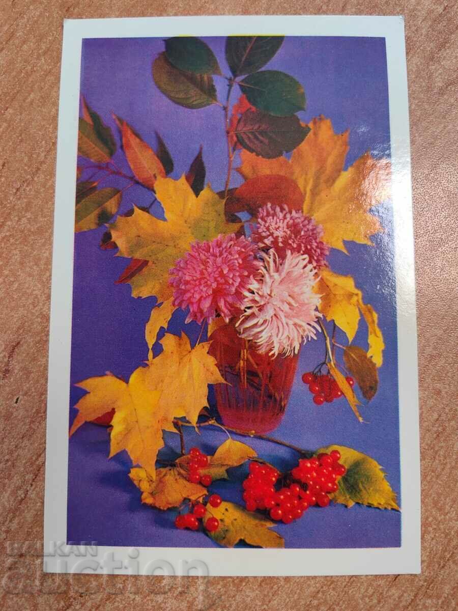 field SOC POST CARD PK