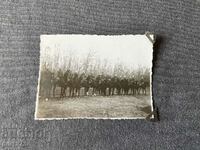 Fotografie veche a paznicilor de cai, 1920