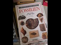Fossilien