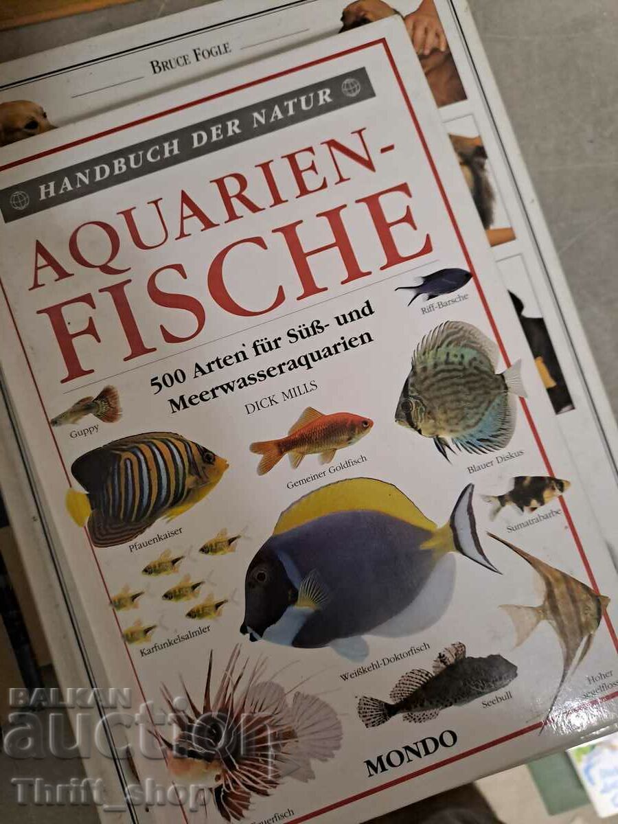Aquarien fische