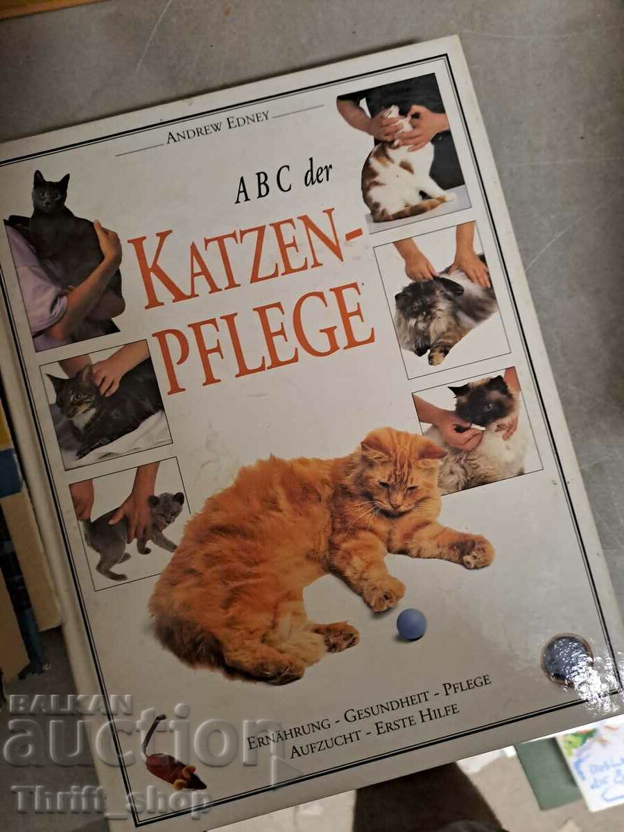 Katzen - pflege