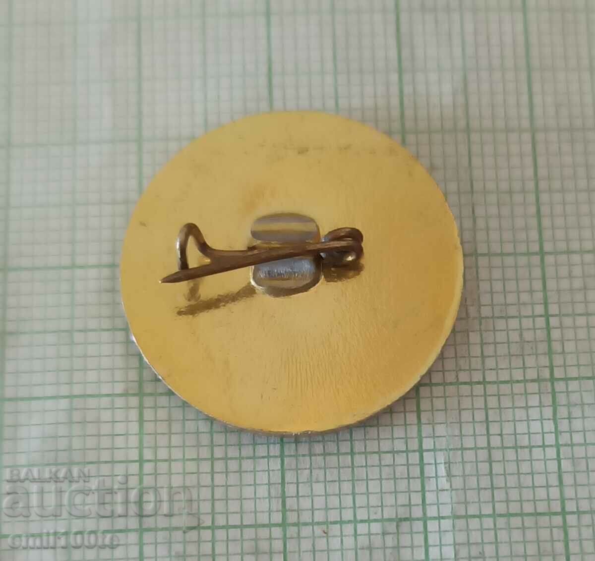 Badge - 60 years of the September Uprising Tomin Most - 5