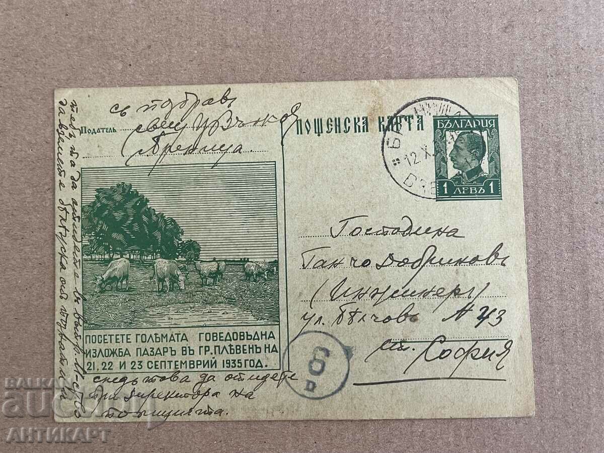 rare postcard Cattle exhibition t sign 1 BGN 1935