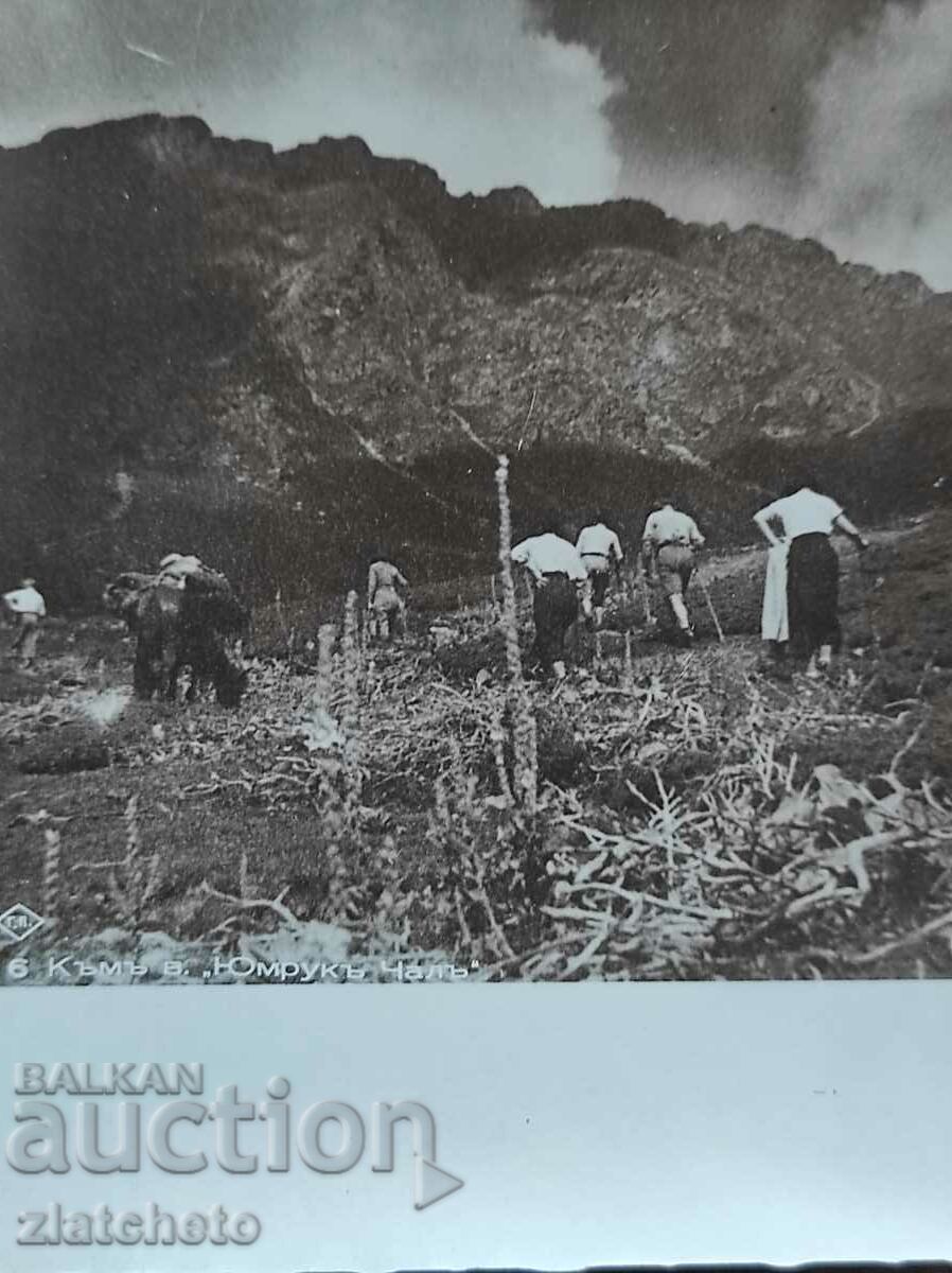 Postal card Kingdom of Bulgaria - To "Fist Shawl" with price 20.00 BGN | € 10.23