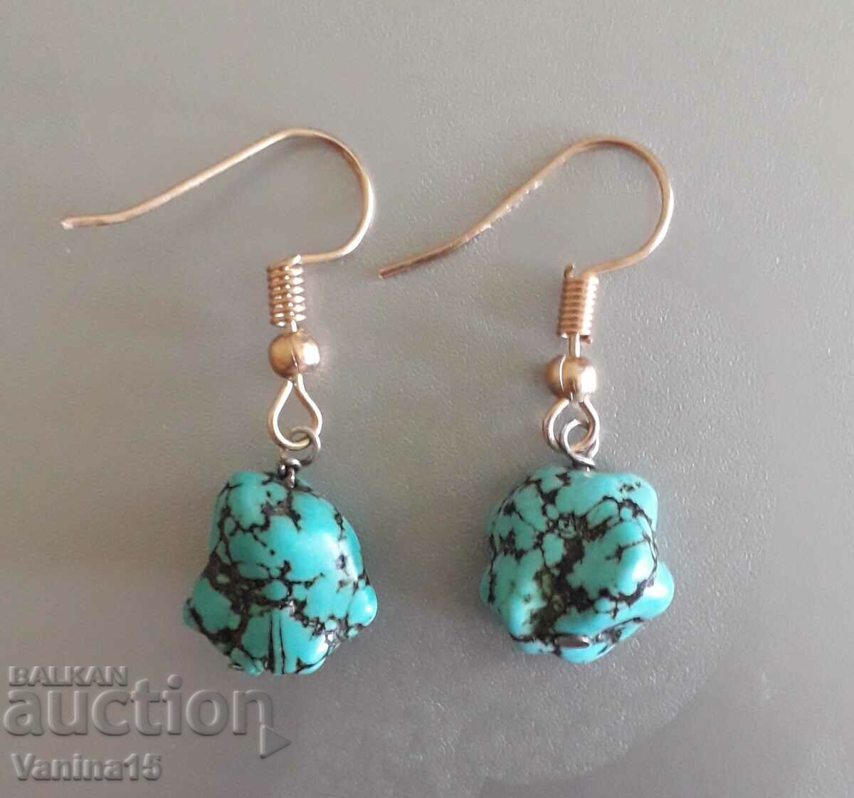 Imported turquoise earrings