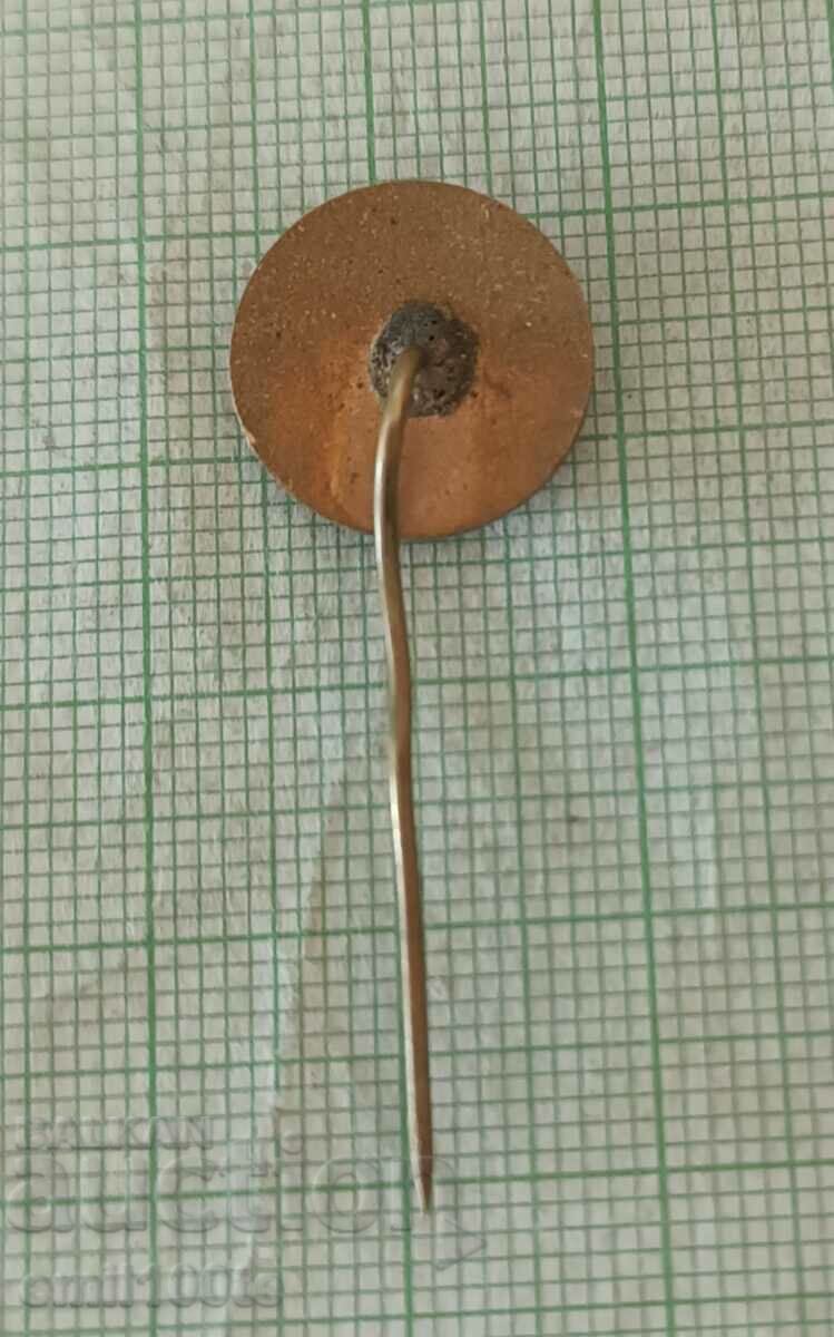 Badge - Georgi Dimitrov bronze enamel - 5 Badge - Georgi Dimitrov bronze enamel - 5