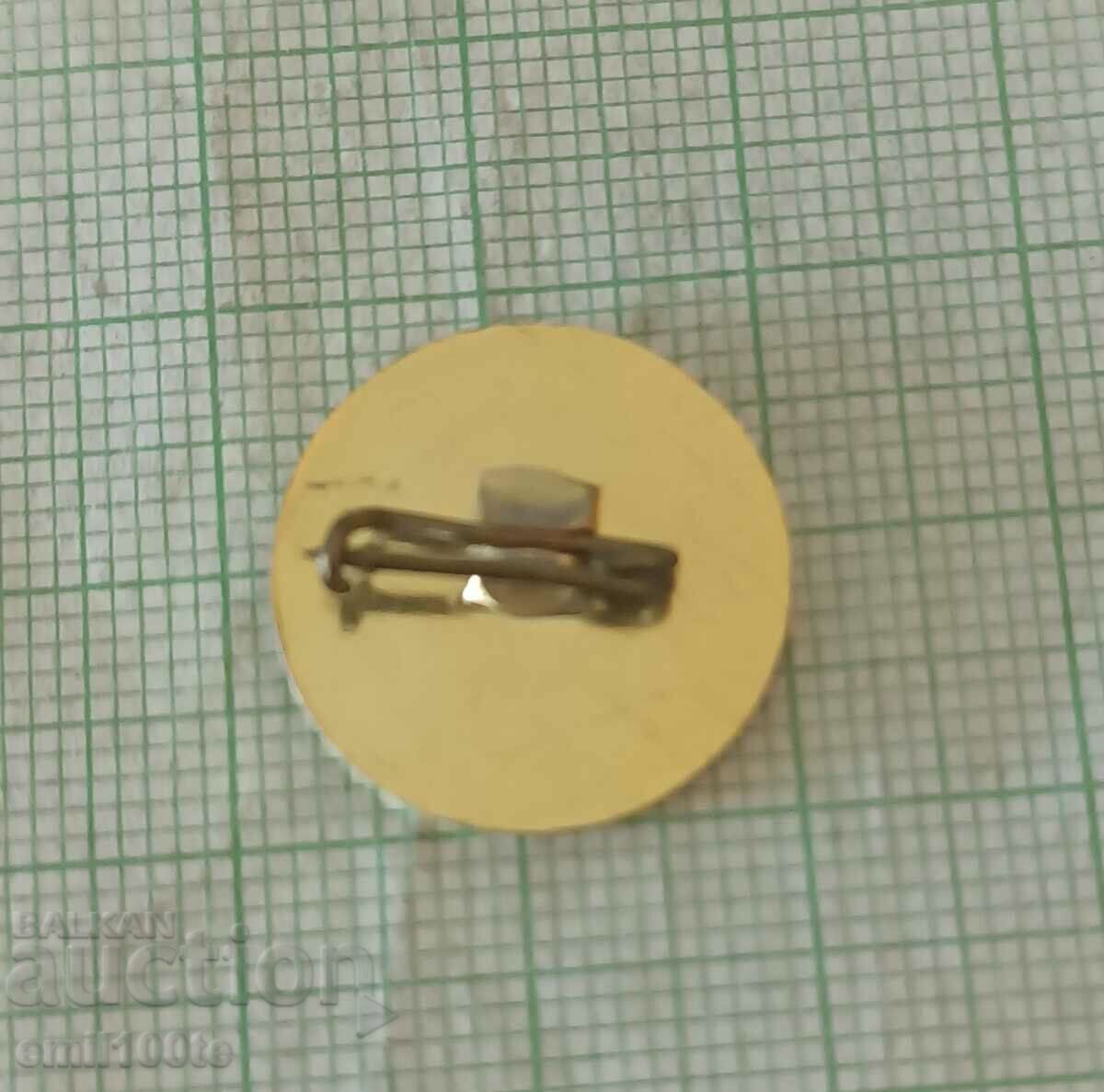 Delivery of Badge - 30 years of IIR 1948 1978 Delivery of Badge - 30 years of IIR 1948 1978