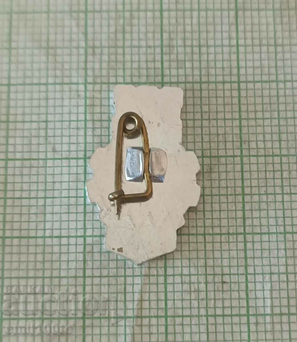 Badge - VIH VP - 5 Badge - VIH VP - 5