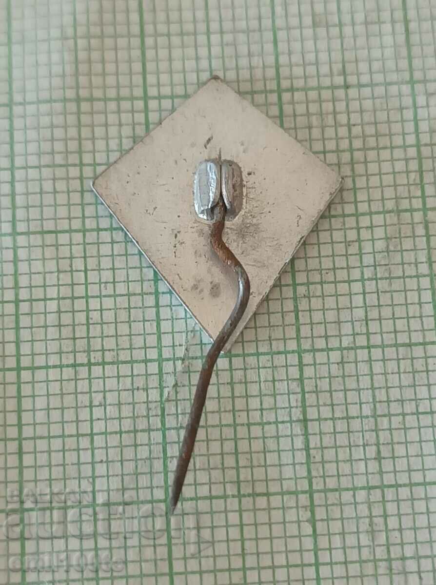 Delivery of Badge - Vinimpex Bulgaria Delivery of Badge - Vinimpex Bulgaria