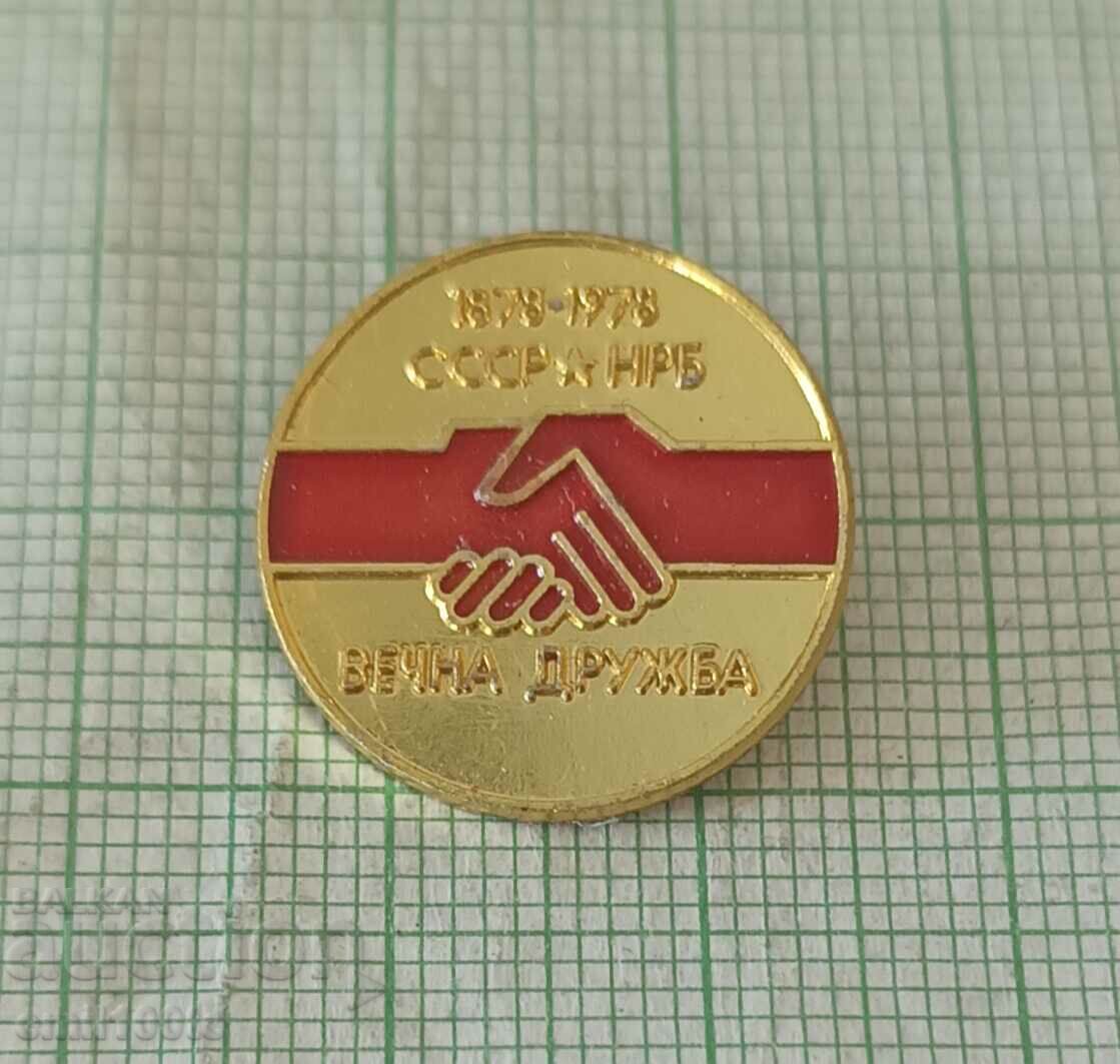 Badge - Eternal friendship USSR NRB 1878 1978