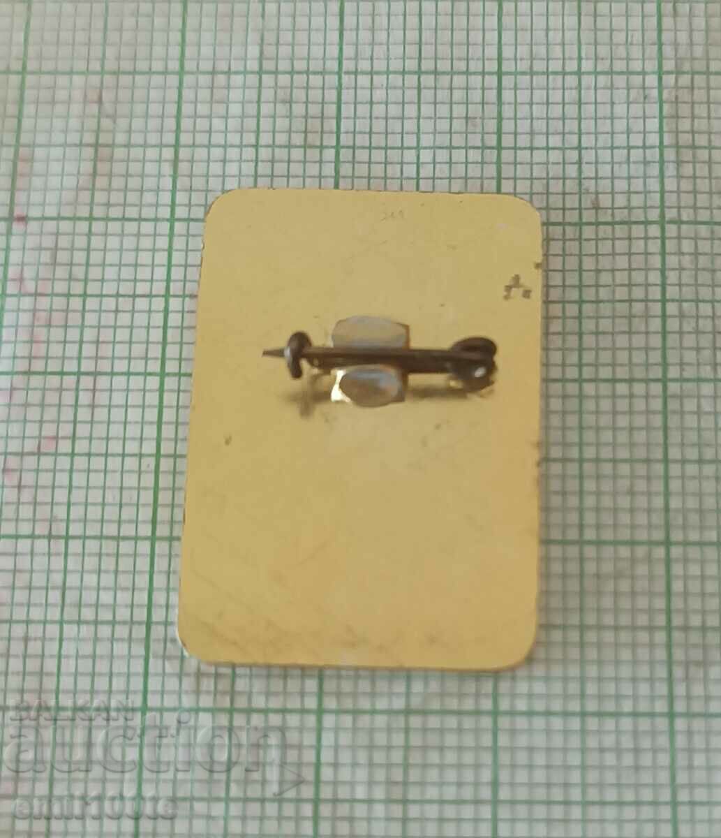 Badge - Bulgaria liberated Bulgaria renewed 1878 1978 - 5